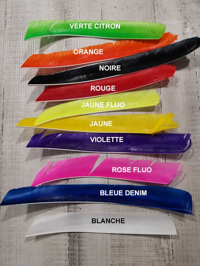 PLUMES NAT ENTIERE