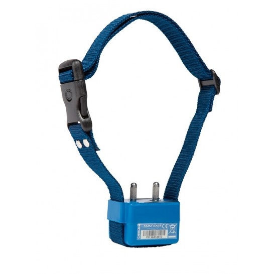 CANICOM CANICALM BLEU
