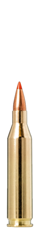 NORMA V-MAX 243WIN 4.9G 75GRS