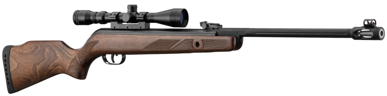 GAMO CARABINE 4.5 440 HUNTER