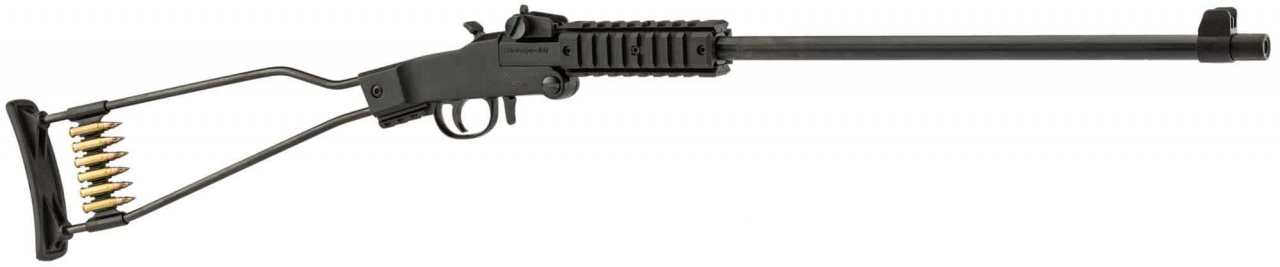 CHIAPPA 22LR LITTLE BADGER