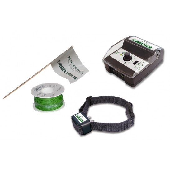 SET COMPLET CANIFUGUE 1 CHIEN