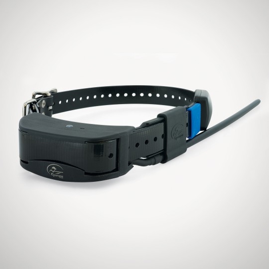 SPORTDOG COLLIER SUP.