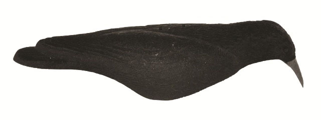 APPELANT CORBEAUX FLOQUE COQUE