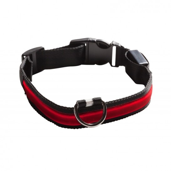EYENIMAL COLLIER LUMINEUX