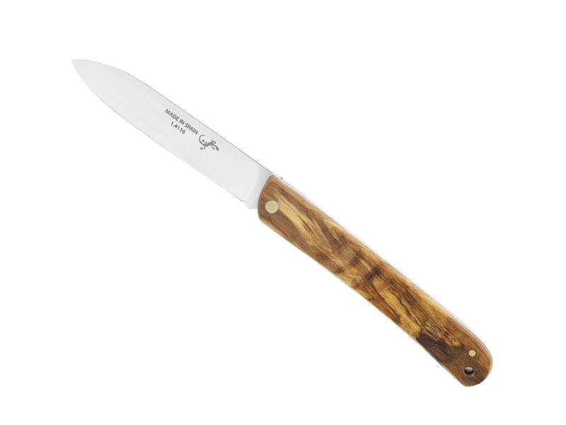 Couteau Salamandra Olivier