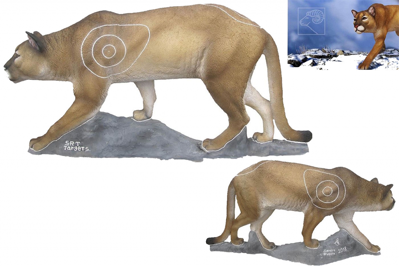 SRT CIBLE 3D PUMA
