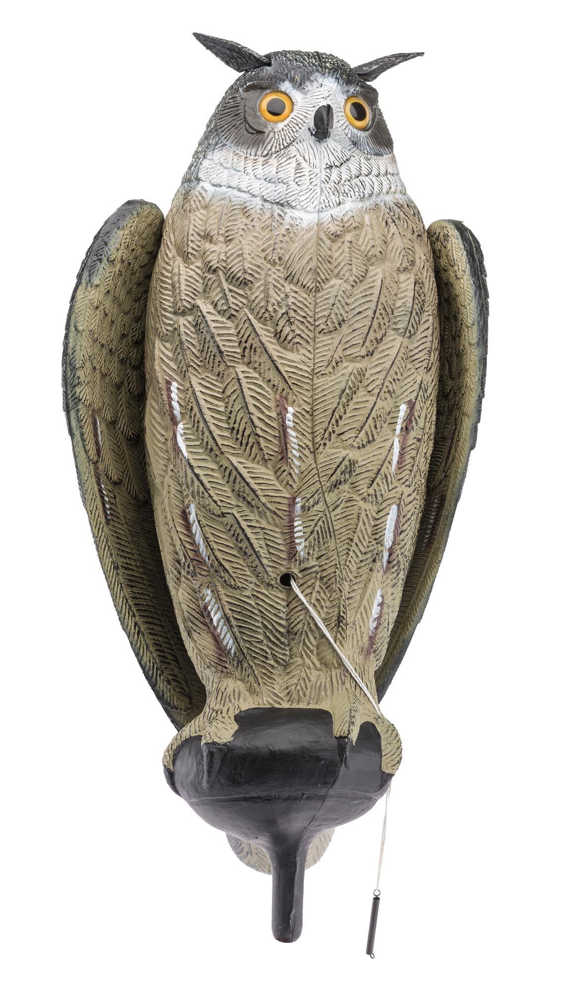 APPELANT GRAND DUC
