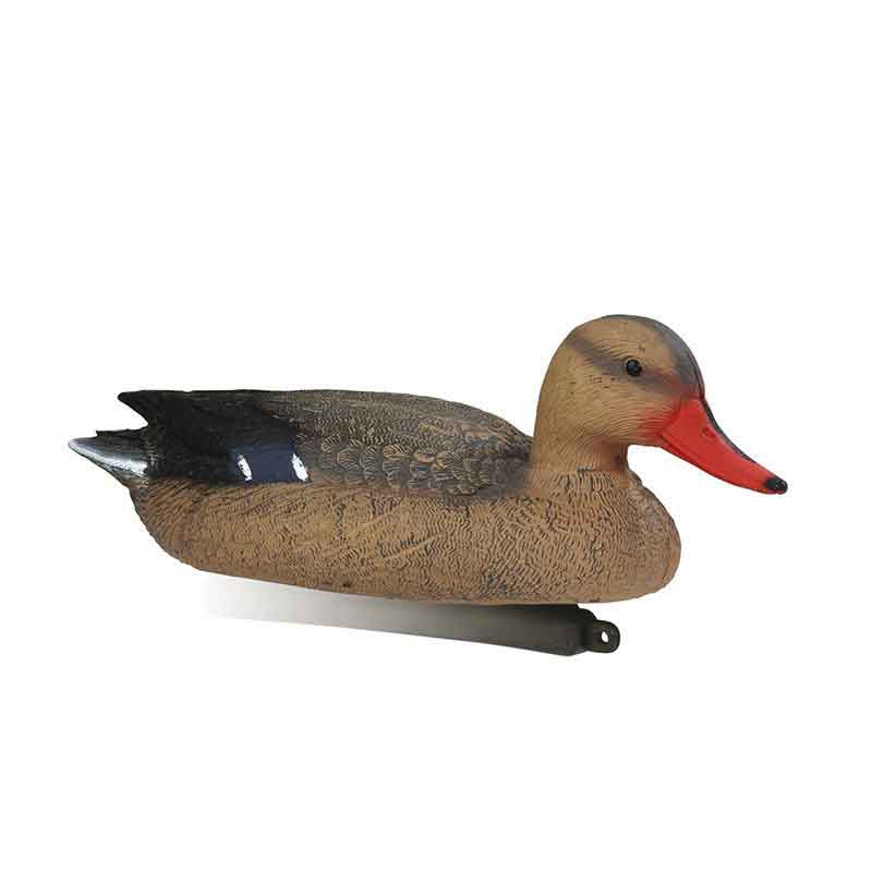 STEPLAND APPELANT COLVERT