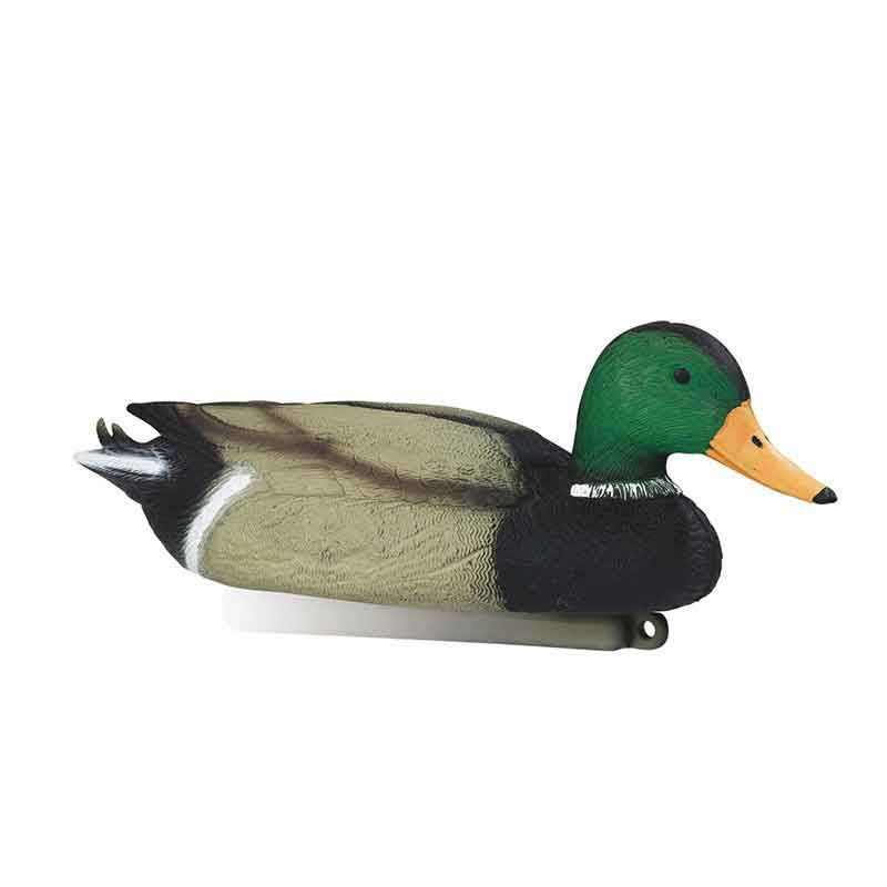 STEPLAND APPELANT COLVERT