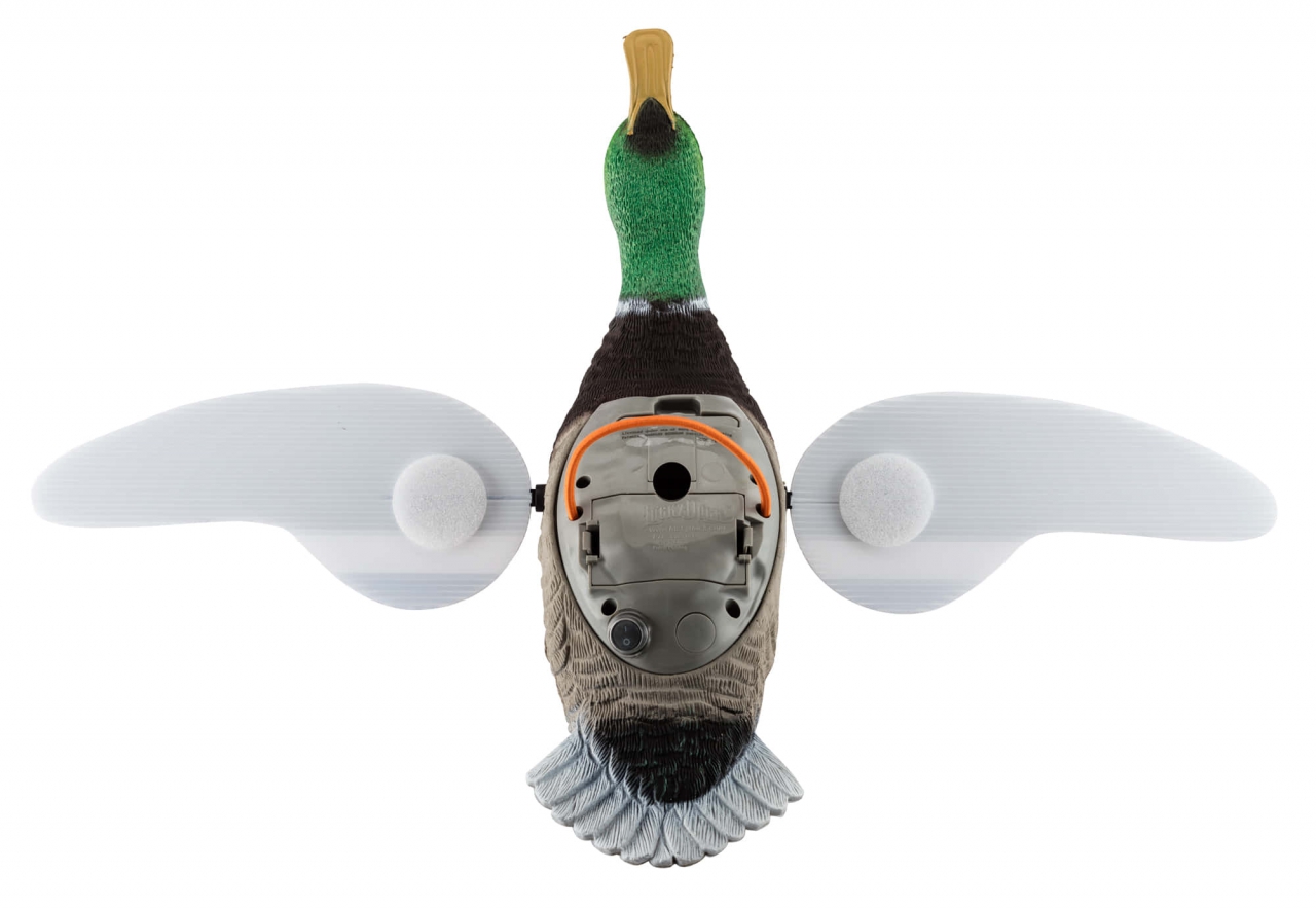 APPELANT CANARD AILES