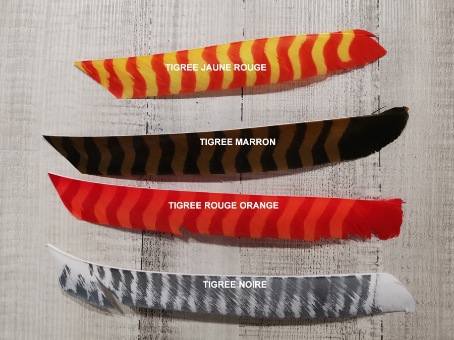 PLUMES NAT ENTIERE TIGREE