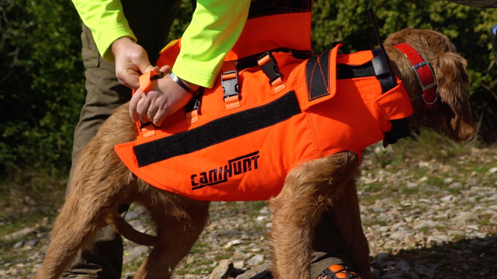 CANIHUNT DOG ARMOR V2 ORANGE
