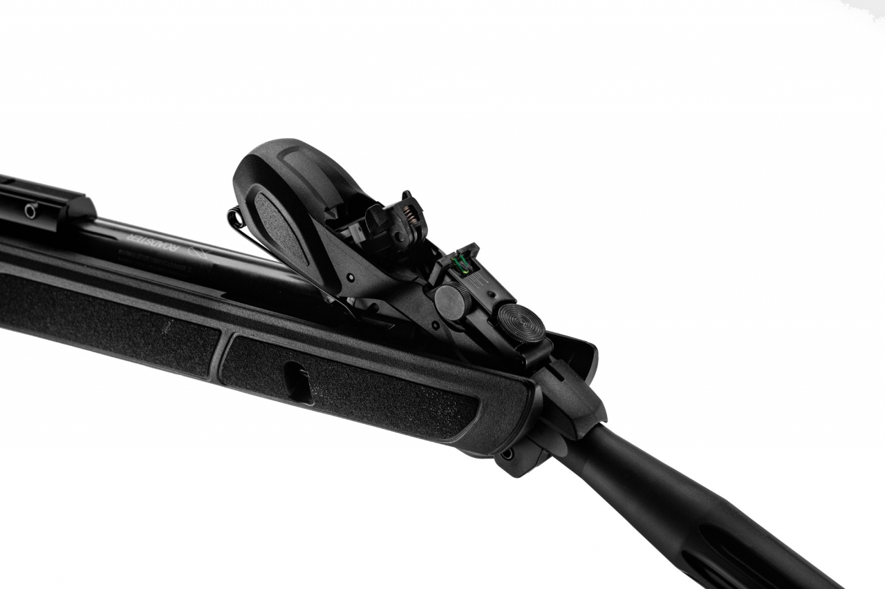 GAMO CARABINE 4.5 ROADSTER IGT