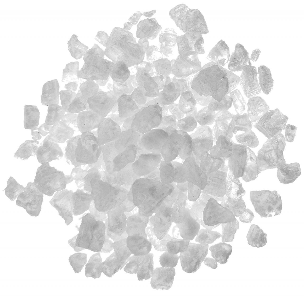 CONCORDE DEFENDER GROS SEL