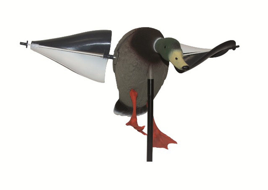 APPELANT CANARD AILES