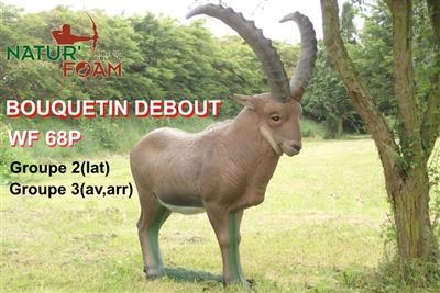 NATURFOAM BOUQUETIN DEBOUT