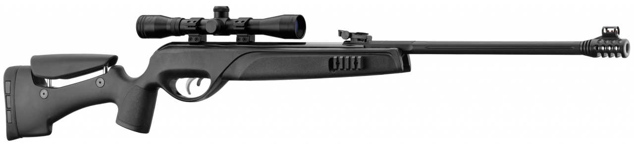 GAMO CARABINE 4.5 STORM