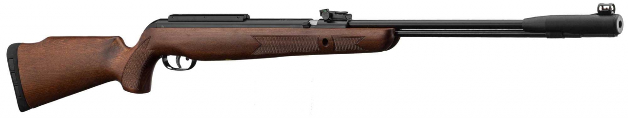 GAMO CFX ROYAL 4.5 CANON FIXE