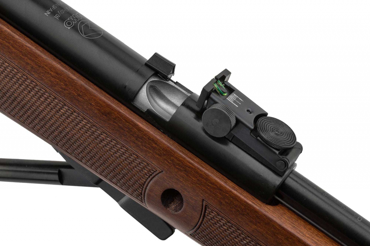 GAMO CFX ROYAL 4.5 CANON FIXE