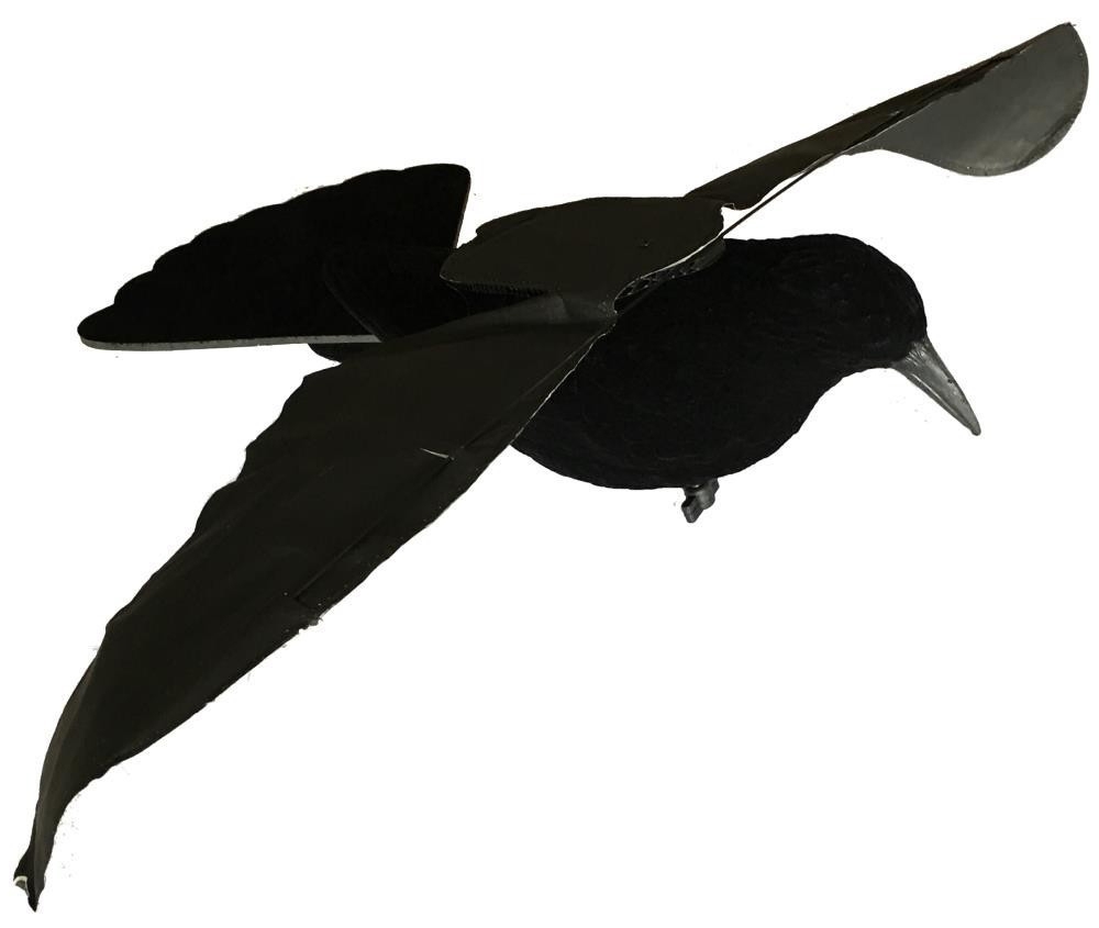 Stepland corbeau Step-Flap