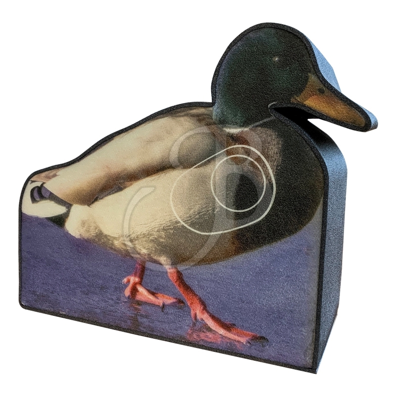 BOOSTER MFT 2D CANARD PHOTO