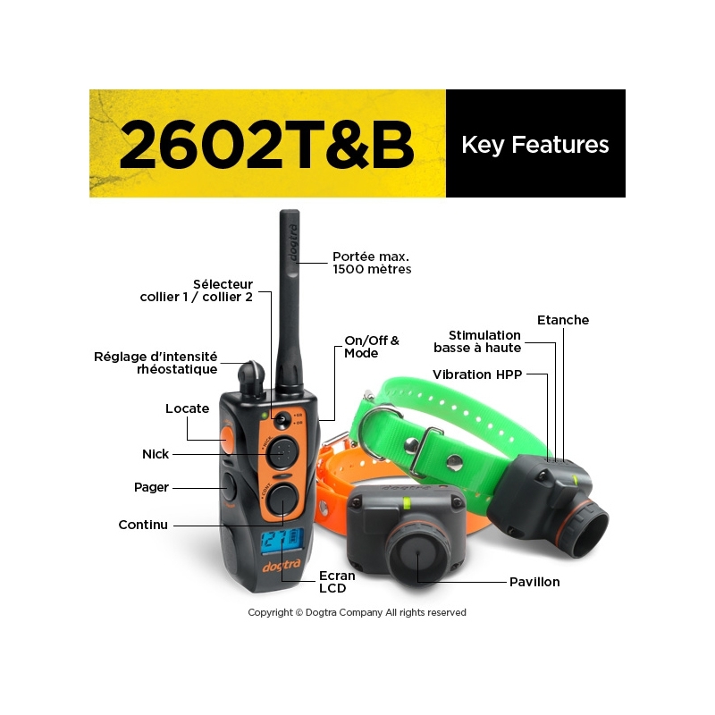 DOGTRA 2602 TB