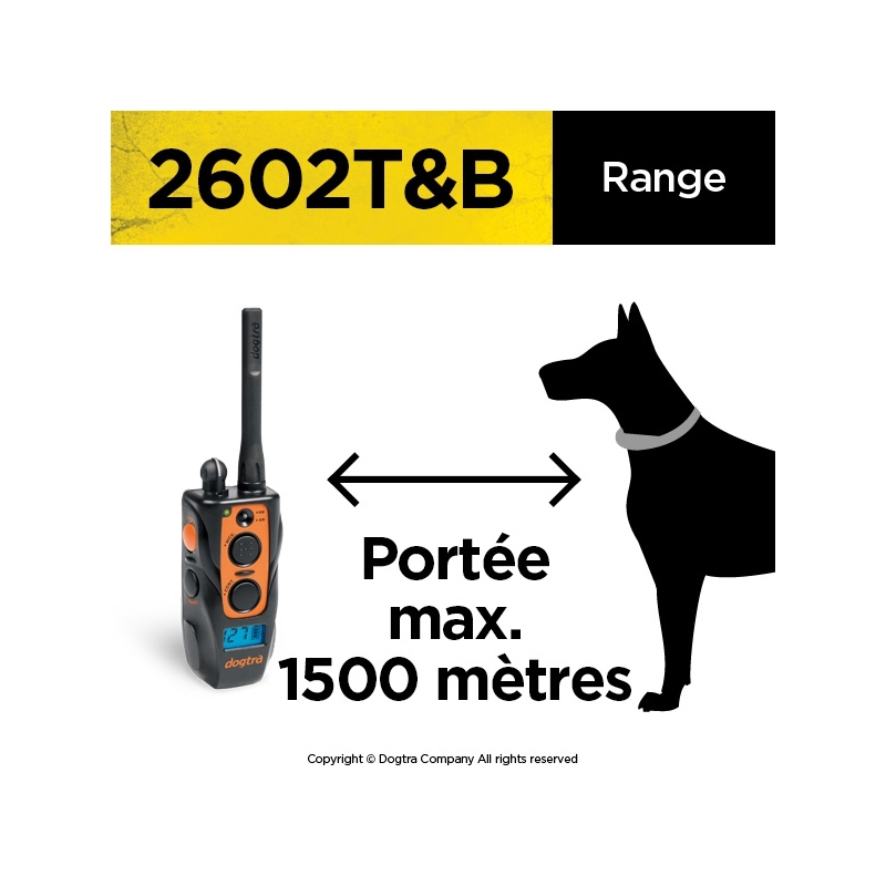 DOGTRA 2602 TB