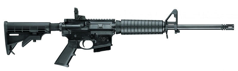 CARABINE SW AR15 SPORT II 16