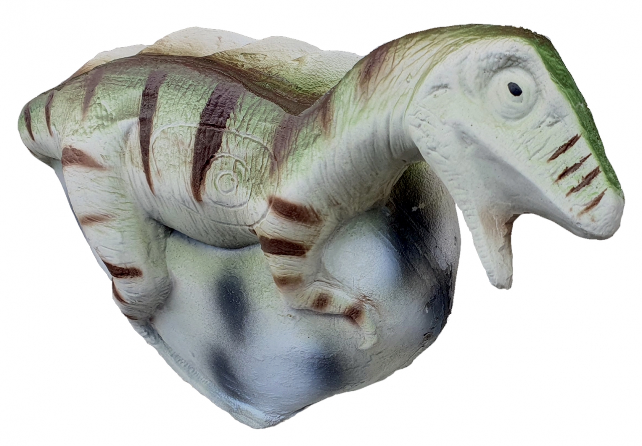 ELEVEN CIBLE 3D BABY DINO G4