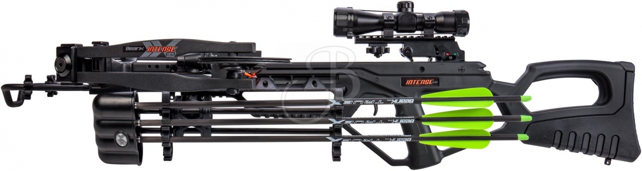 BEAR ARBALETE CMP INTENSE 180#
