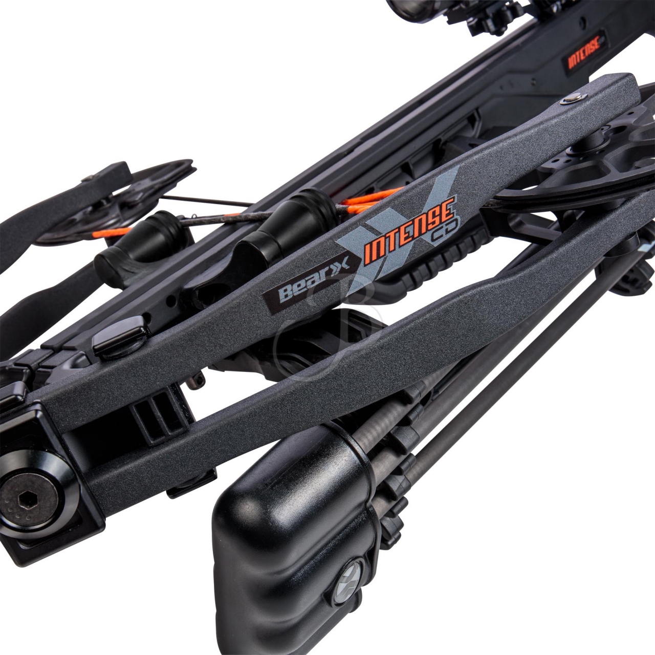 BEAR ARBALETE CMP INTENSE 180#