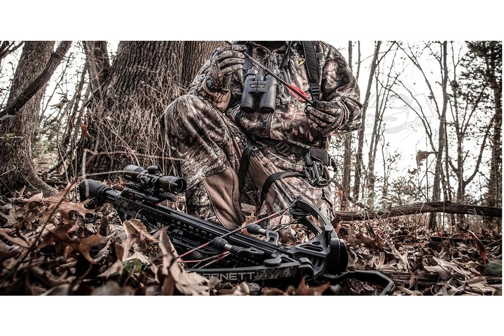 BARNETT ARB EXPLORER XP 380FPS