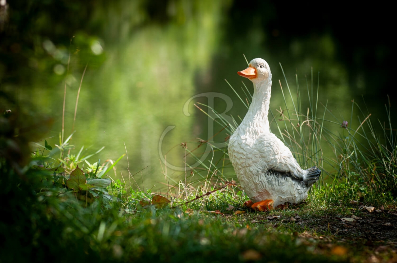 C. POINT 3D CANARD DEBOUT G4