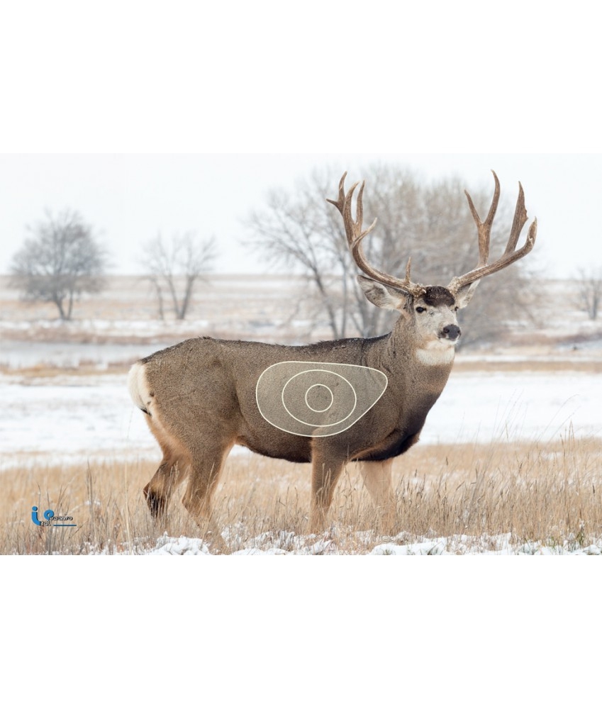 ITALSO BLASON M. CERF 72*50CM