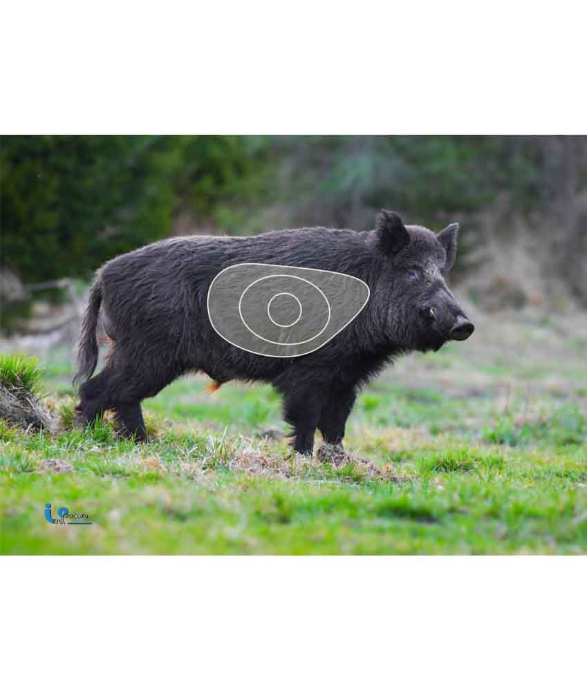 ITALSO BLAS. M. PETIT SANGLIER