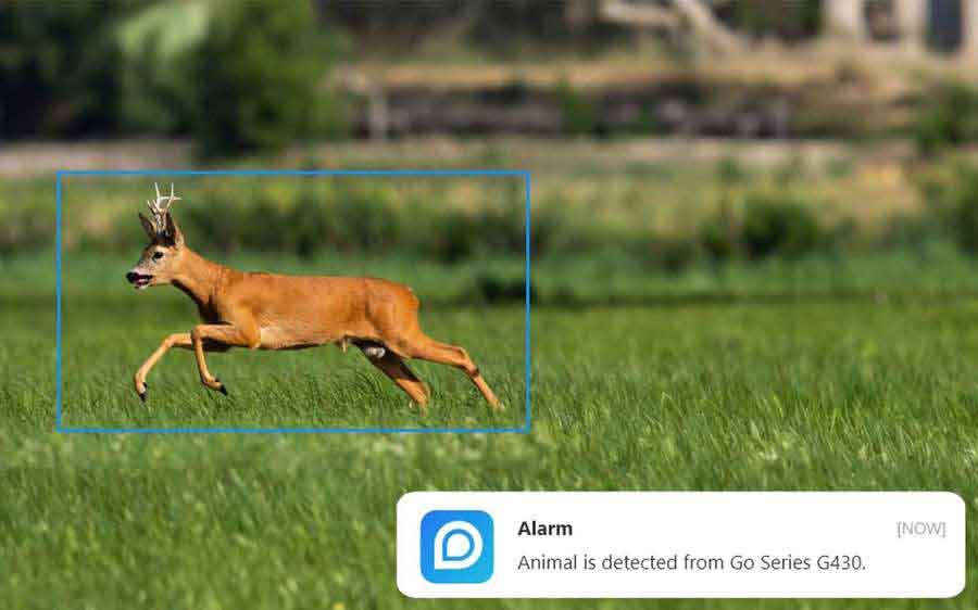 REOLINK CAMERA 4G 360