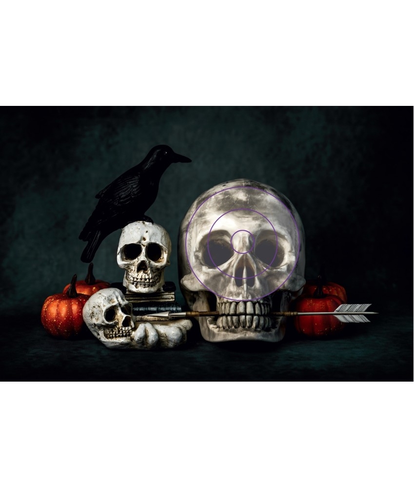 ITALSO BLASON M. FLECHE MORTE