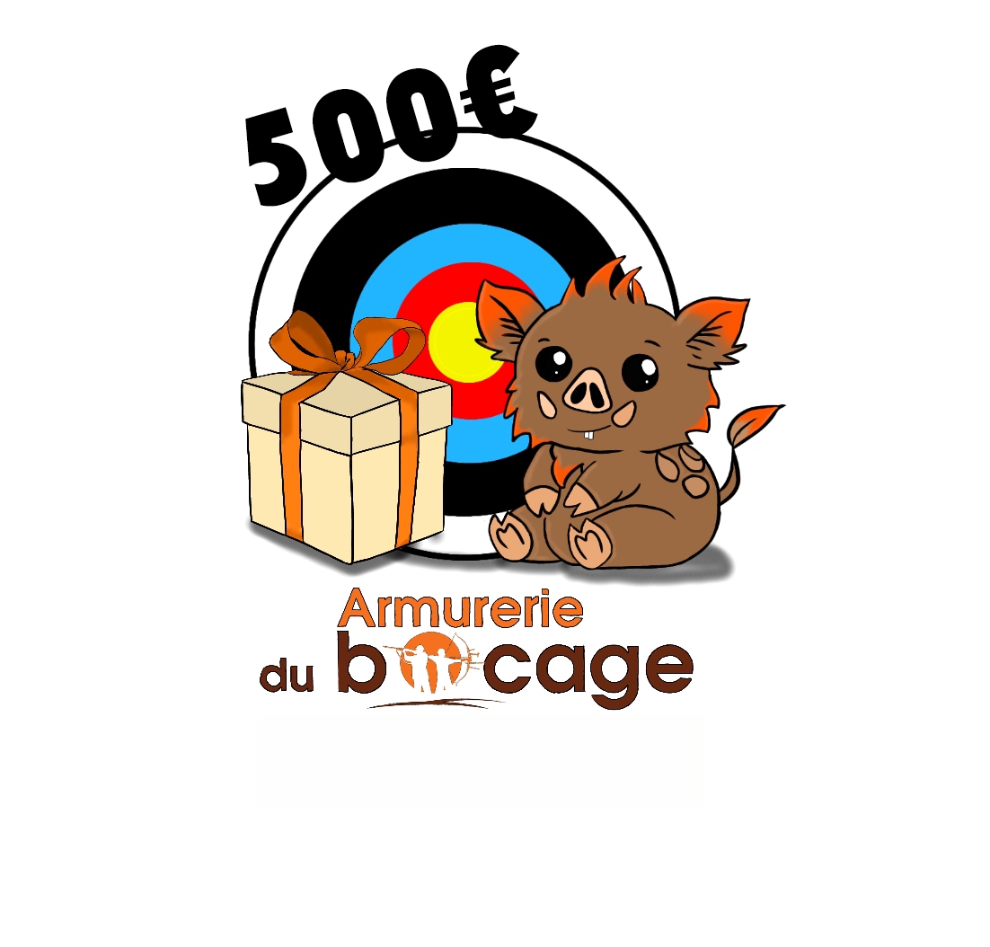 BON D'ACHAT 500