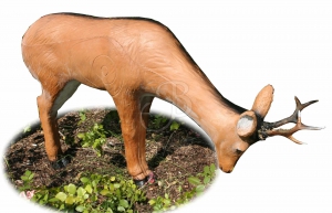 AA 3D CHEVREUIL QUI BOIT G3