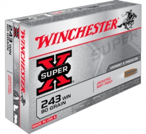WINCHESTER POWERPOINT 243WIN
