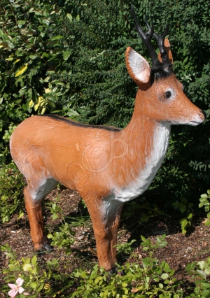 AA 3D CHEVREUIL ALERTE G3