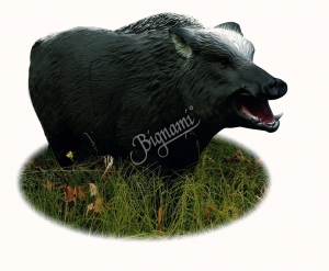 AA 3D SANGLIER RUSSE G1