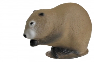 3DI CIBLE 3 D RAGONDIN