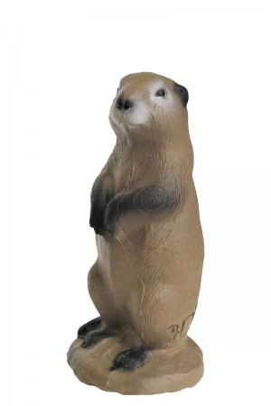 3DI CIBLE 3 D MARMOTTE