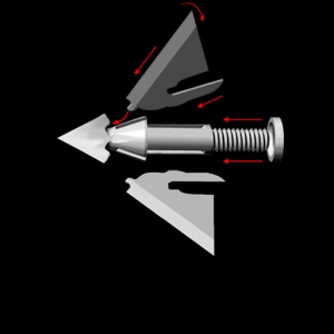 QAD LAME EXODUS FULL