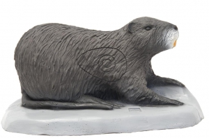 SRT CIBLE 3D RAGONDIN G4