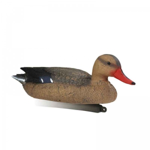 STEPLAND APPELANT COLVERT