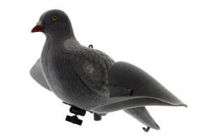 APPELANT PIGEON AILES