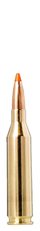 NORMA TIPSTRIKE VARMINT